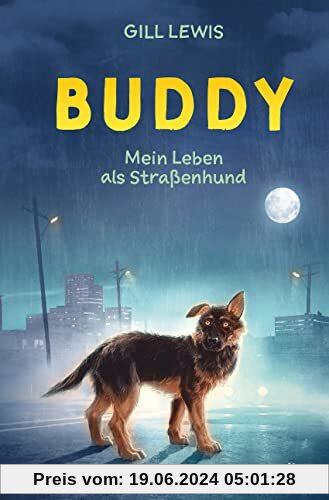 Buddy – Mein Leben als Straßenhund: Tiefgründige Tiergeschichte ab 11